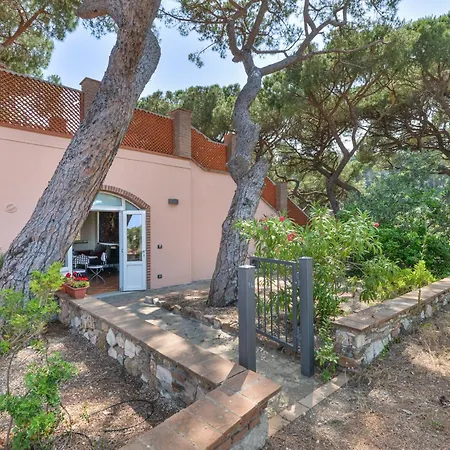 公寓 Margherita Capo D'arco