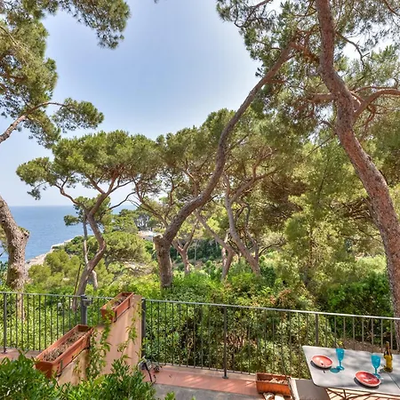 Margherita * Capo D'arco