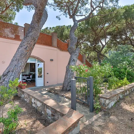 아파트 Margherita Capo D'arco